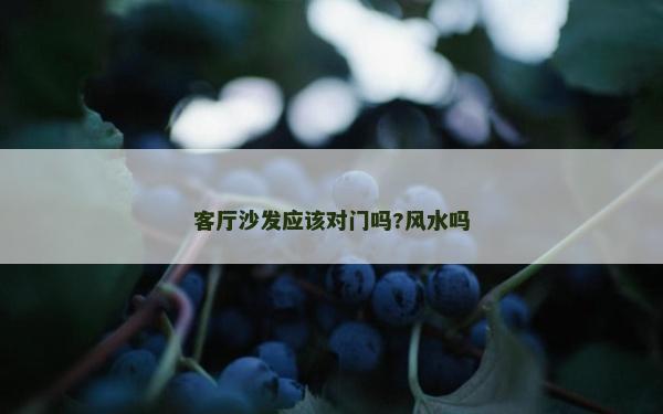 客廳沙發(fā)應(yīng)該對(duì)門(mén)嗎?風(fēng)水嗎