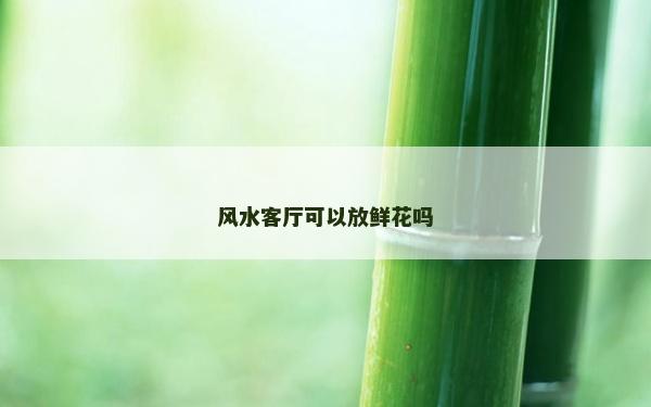 風水客廳可以放鮮花嗎