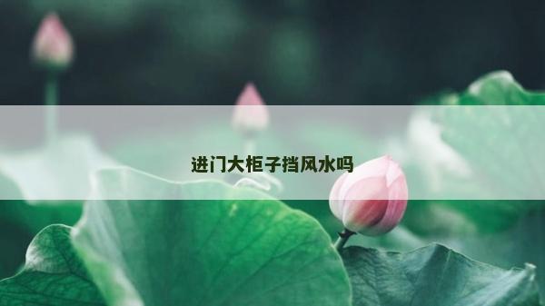進門大柜子擋風(fēng)水嗎