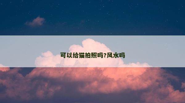 可以給貓拍照嗎?風水嗎