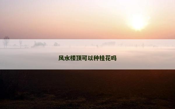 風水樓頂可以種桂花嗎