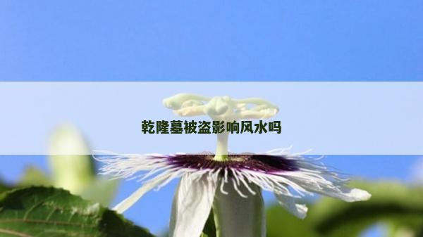 乾隆墓被盜影響風水嗎