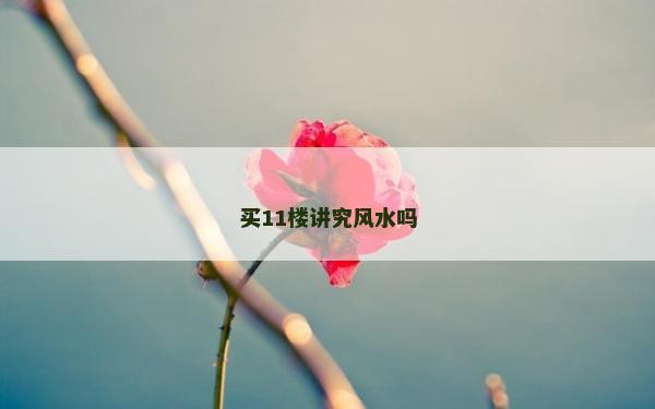 買11樓講究風(fēng)水嗎