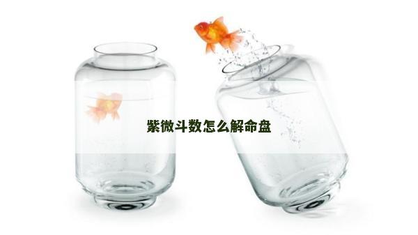 紫微斗數(shù)怎么解命盤