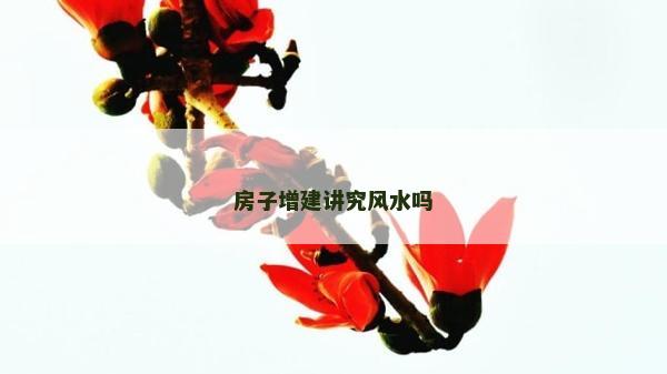 房子增建講究風水嗎