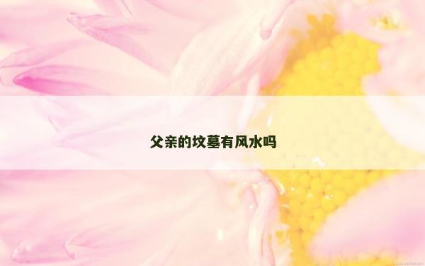 父親的墳?zāi)褂酗L(fēng)水嗎