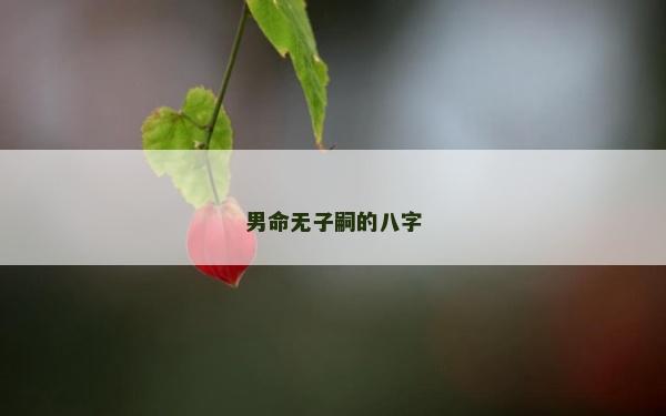男命無(wú)子嗣的八字