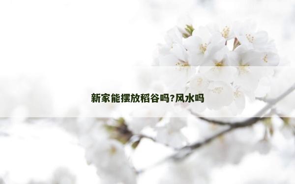 新家能擺放稻谷嗎?風水嗎