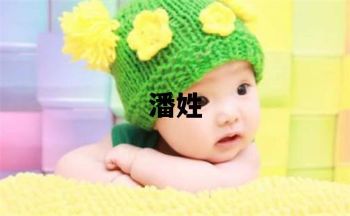 潘姓有詩意的女孩名字