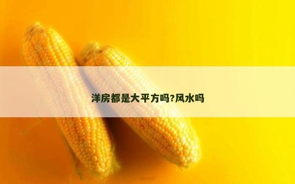 洋房都是大平方嗎?風水嗎