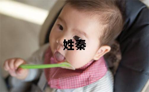 姓秦叫什么名字好 姓秦的女孩洋氣的名字