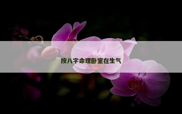 按八字命理臥室在生氣