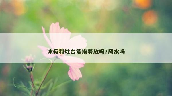 冰箱和灶臺能挨著放嗎?風(fēng)水嗎