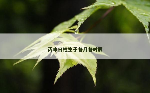 丙申日柱生于各月各時辰