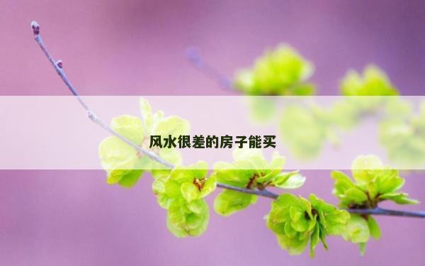 風水很差的房子能買