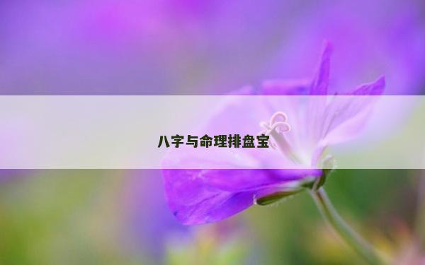 八字與命理排盤寶 八字與命理排盤寶