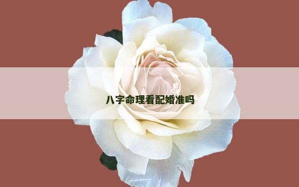 八字命理看配婚準嗎