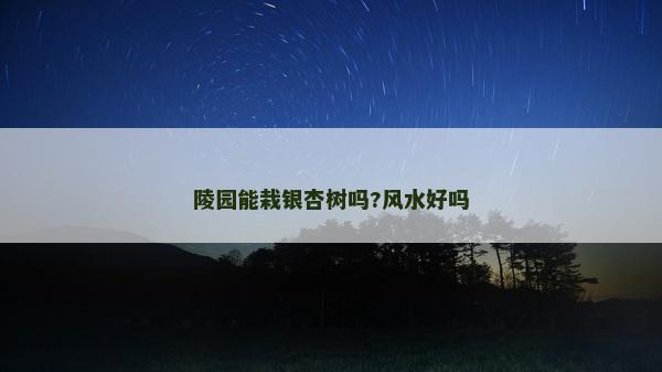 陵園能栽銀杏樹(shù)嗎?風(fēng)水好嗎