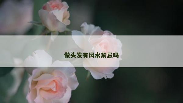 做頭發有風水禁忌嗎