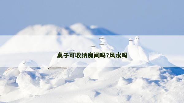 桌子可收納房間嗎?風水嗎