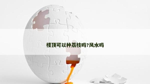 樓頂可以種荔枝嗎?風水嗎