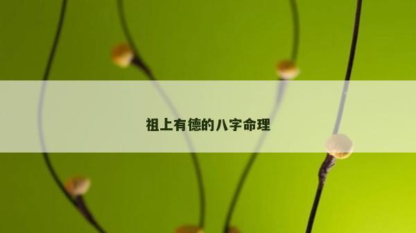祖上有德的八字命理