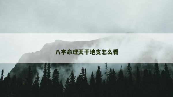 八字命理天干地支怎么看