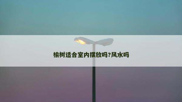 榆樹適合室內(nèi)擺放嗎?風(fēng)水嗎