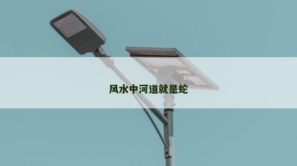 風(fēng)水中河道就是蛇