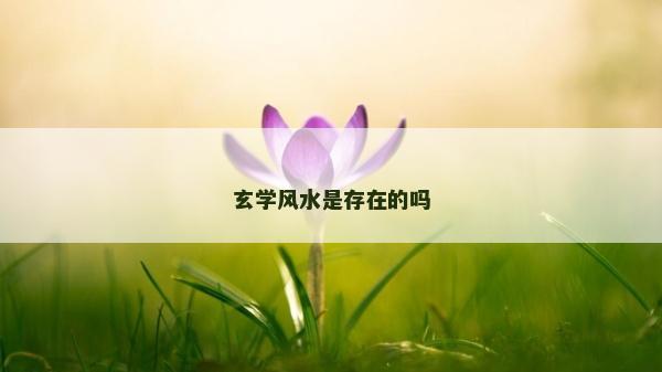 玄學風水是存在的嗎