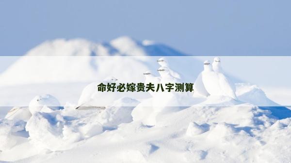 命好必嫁貴夫八字測(cè)算