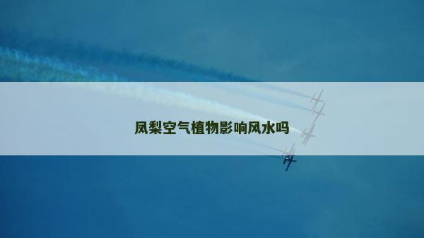 鳳梨空氣植物影響風水嗎