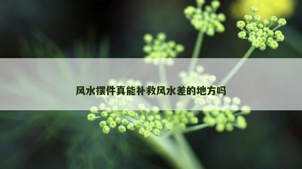 風(fēng)水?dāng)[件真能補救風(fēng)水差的地方嗎