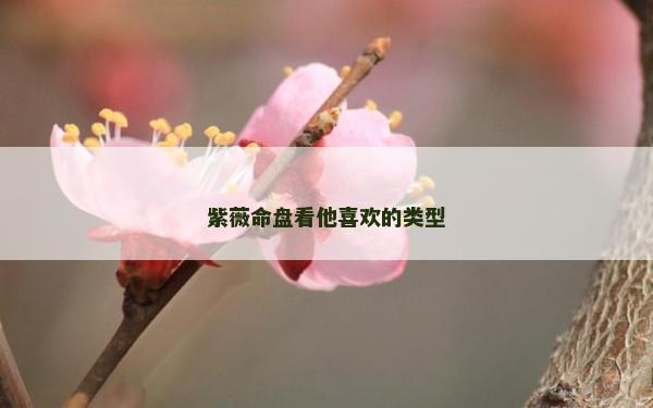 紫薇命盤(pán)看他喜歡的類(lèi)型