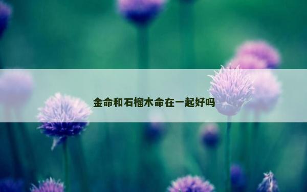 金命和石榴木命在一起好嗎