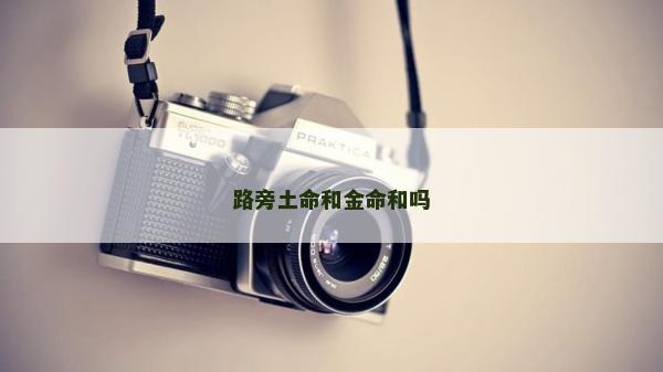 路旁土命和金命和嗎