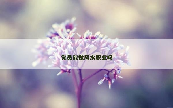 黨員能做風水職業嗎