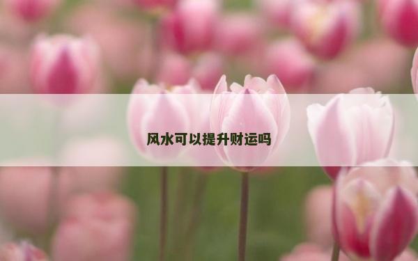 風(fēng)水可以提升財運嗎