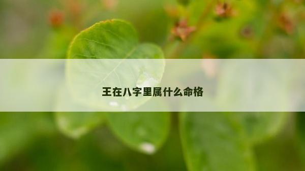王在八字里屬什么命格