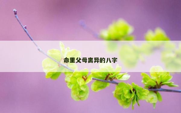 命里父母離異的八字