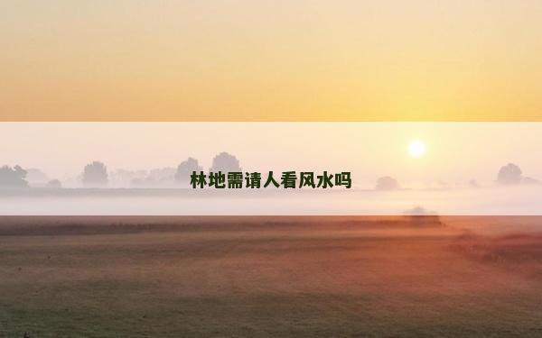 林地需請人看風水嗎