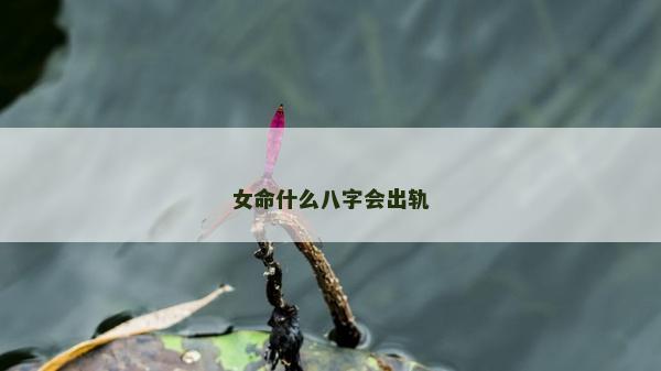女命什么八字會出軌