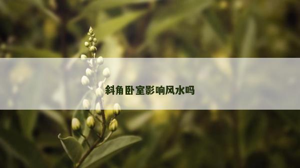 斜角臥室影響風(fēng)水嗎