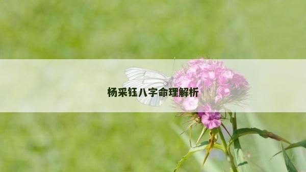 楊采鈺八字命理解析