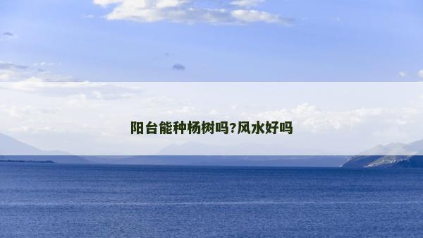 陽臺能種楊樹嗎?風水好嗎