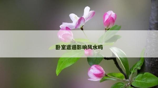 臥室邋遢影響風水嗎