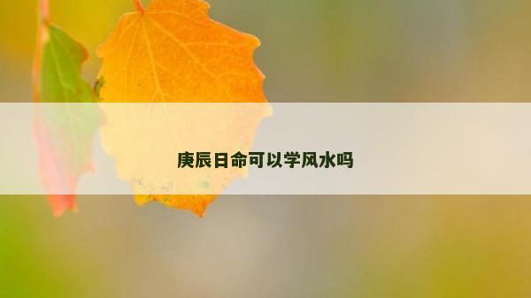 庚辰日命可以學風水嗎 庚辰日命可以學風水嗎