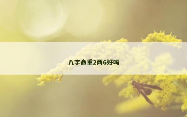 八字命重2兩6好嗎
