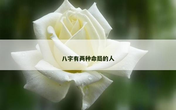 八字有兩種命局的人