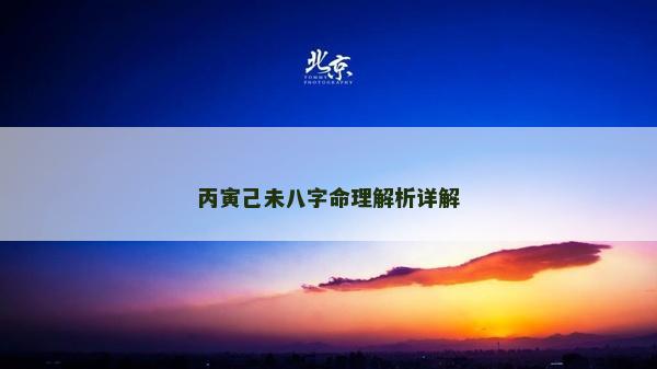 丙寅己未八字命理解析詳解